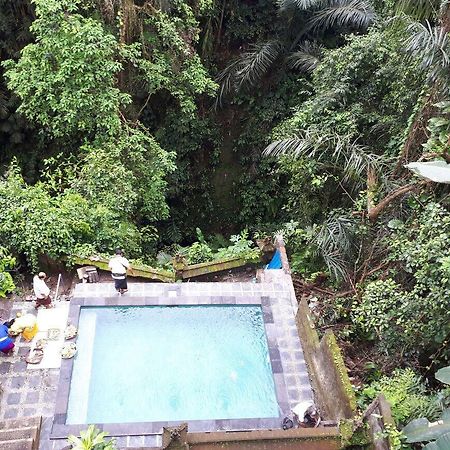 Anggrek Mas Bed & Breakfast Hostel อูบุด ภายนอก รูปภาพ