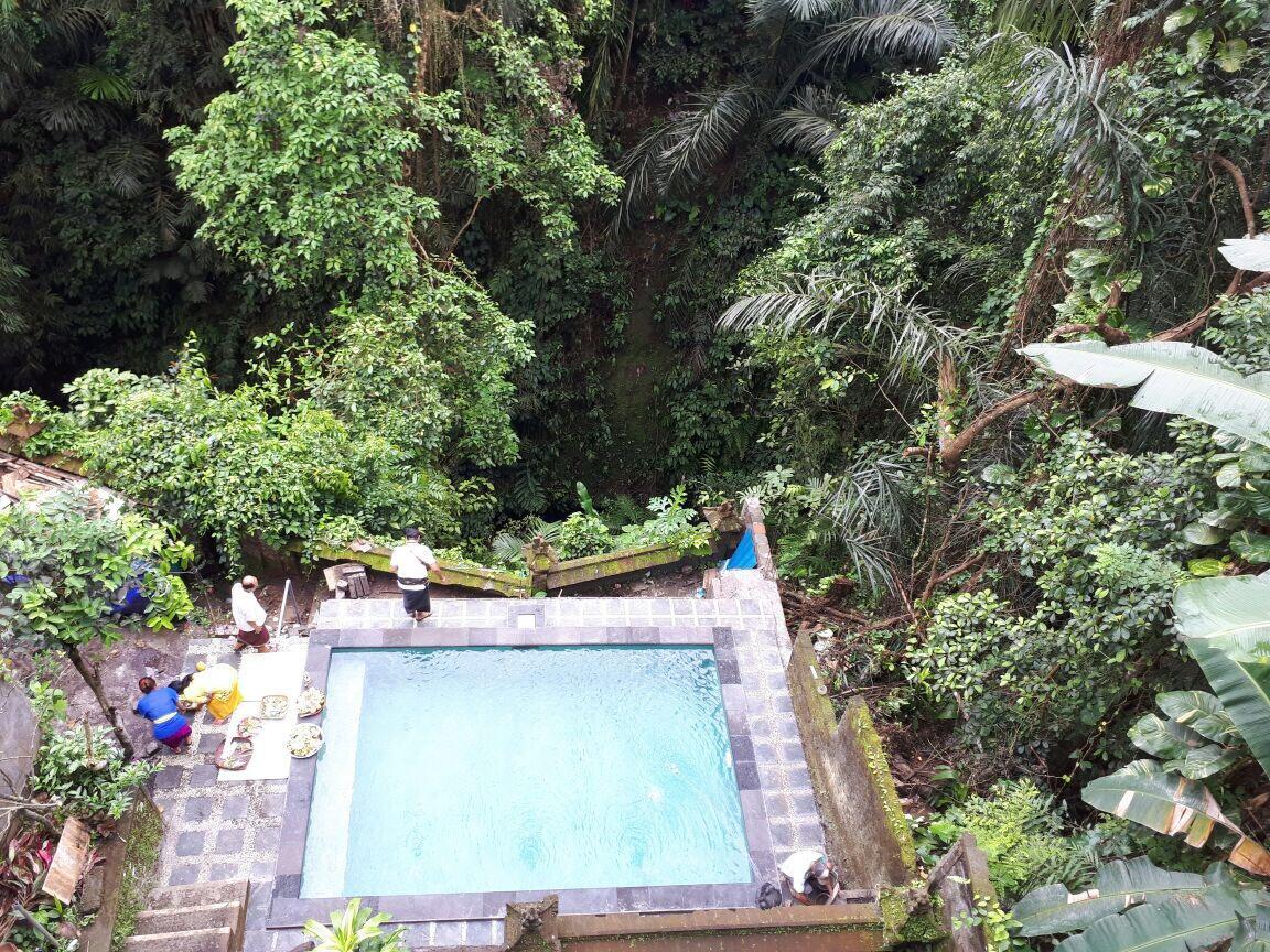 Anggrek Mas Bed & Breakfast Hostel อูบุด ภายนอก รูปภาพ